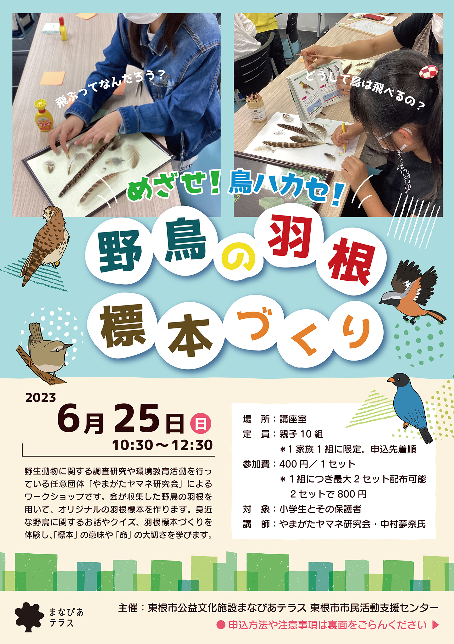 めざせ！鳥ハカセ！野鳥の羽根標本づくり2023｜市民活動支援センターの